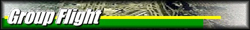 Group Flight Home Page
